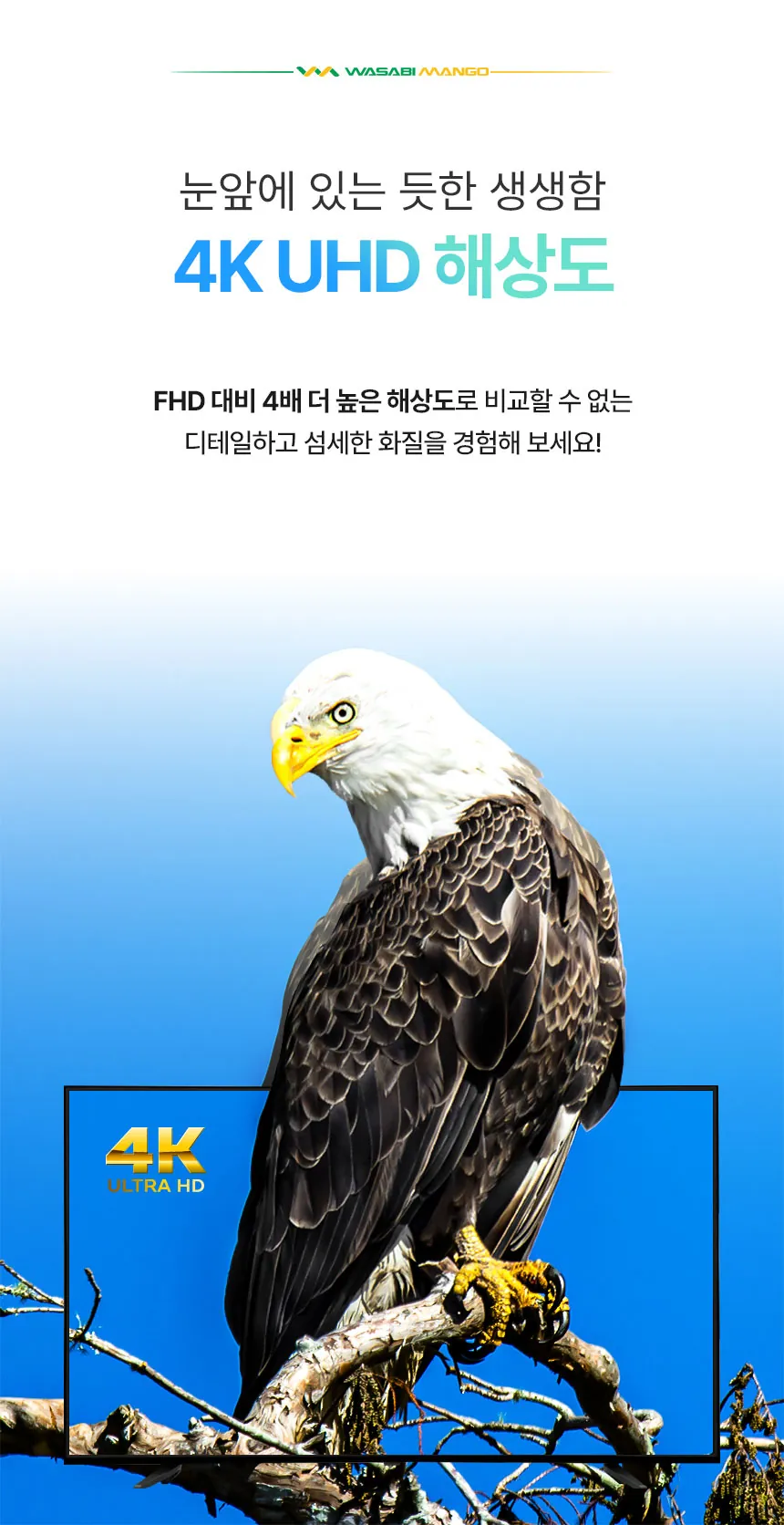 CZ1038145_d_7.webp