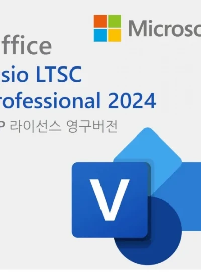 [마이크로소프트] Visio LTSC Professional 2024 [기업용/CSP라이선스/영구버전]