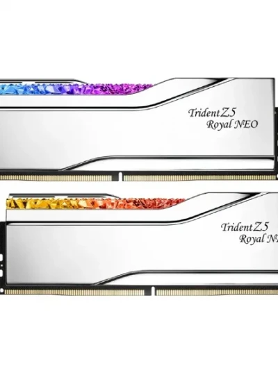 [G.SKILL] DDR5 PC5-51200 CL30 TRIDENT Z5 ROYAL NEO 실버 [32GB (16GB*2)] (6400)