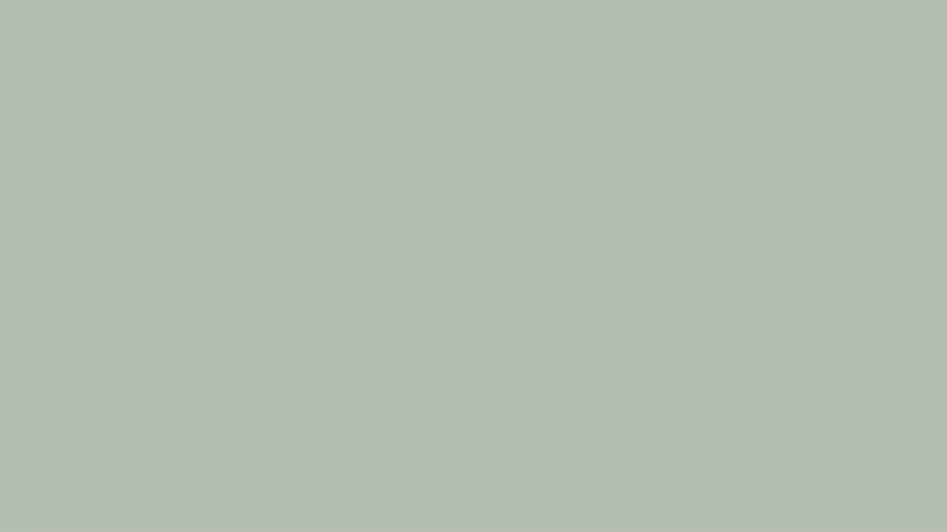 CZ1188102_d_51.webp