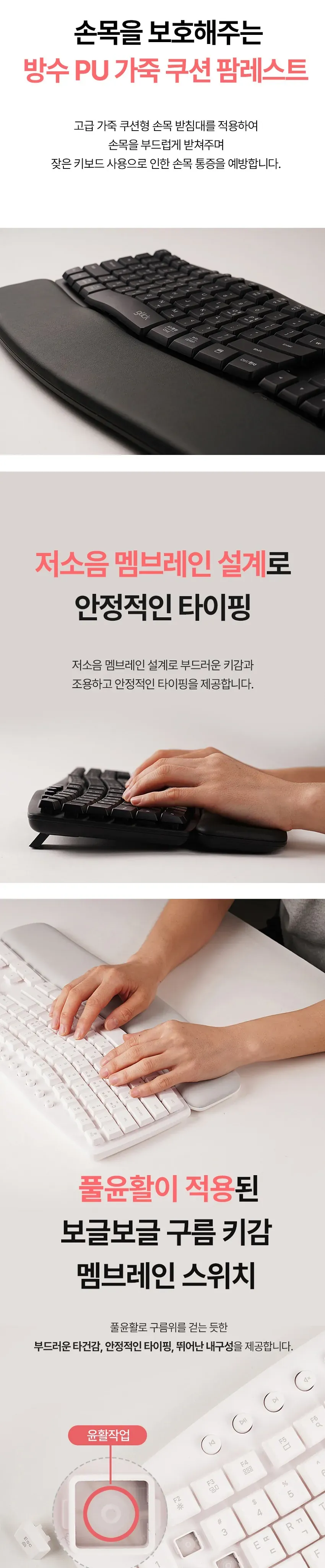 CZ1295289_d_4.webp