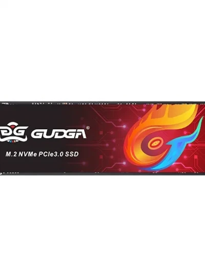 [GUDGA] GVY M.2 NVMe 2280 [256GB]