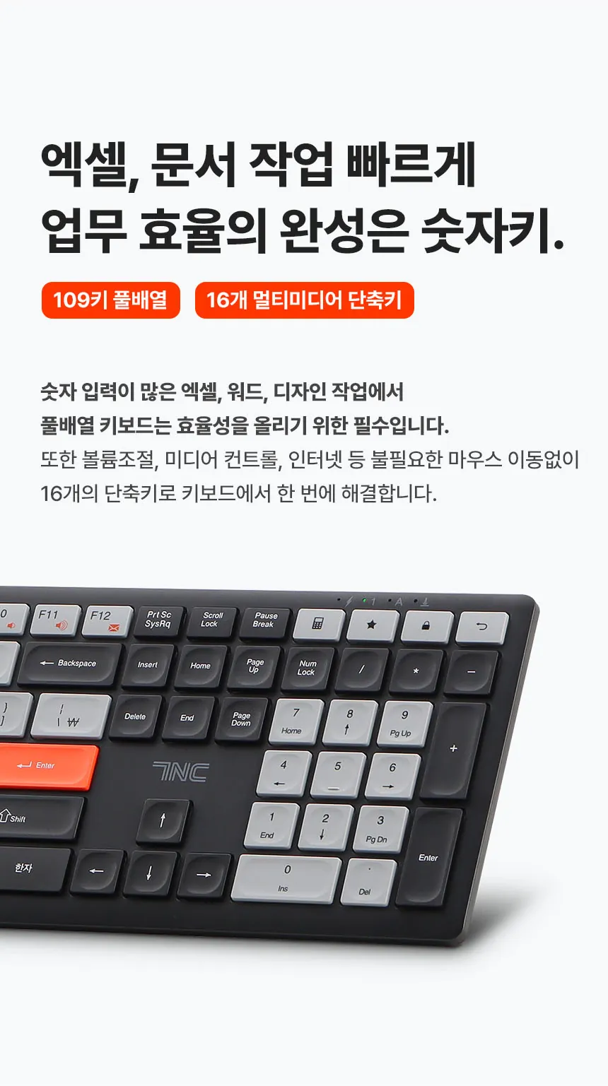CZ1336189_d_21.webp