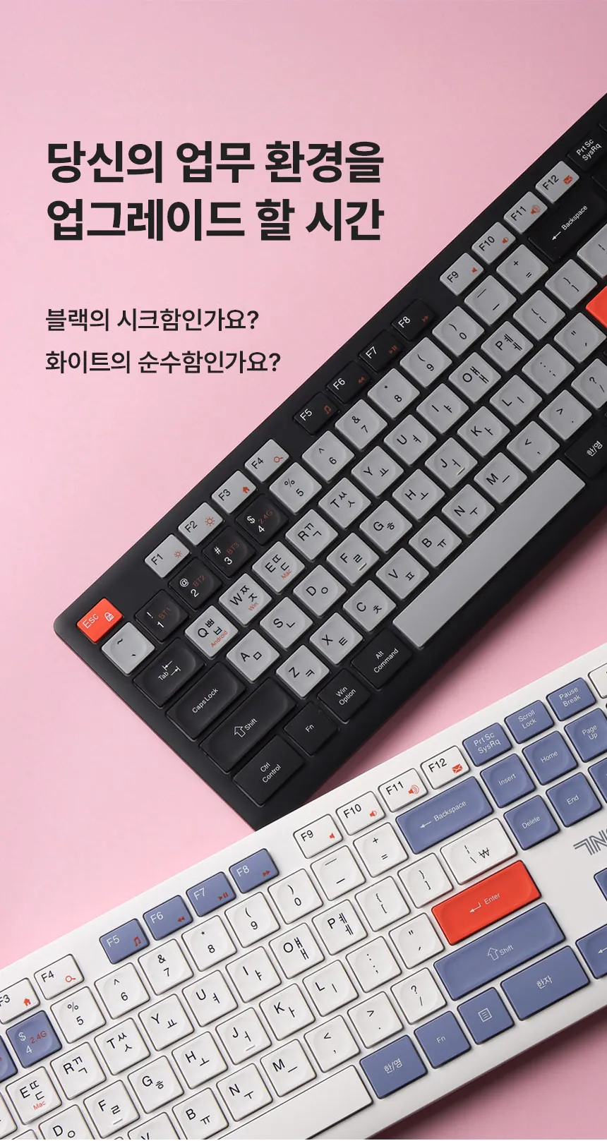 CZ1336189_d_34.webp