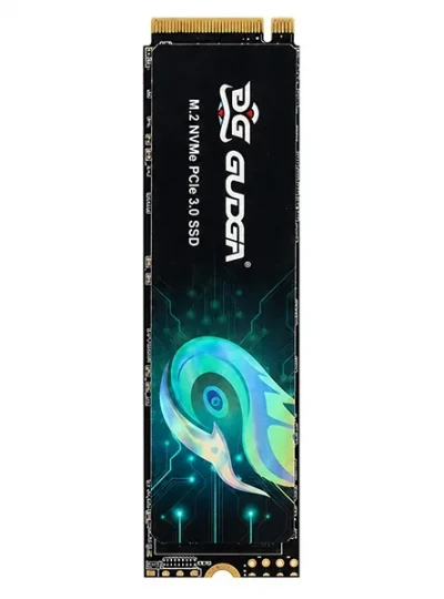 [GUDGA] GVR M.2 NVMe 2280 [256GB]