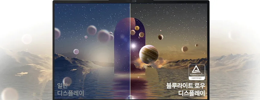 CZ1353246_d_38.webp
