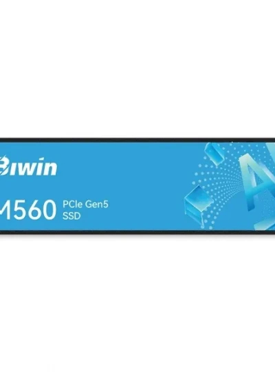 [Biwin] M560 M.2 NVMe 2280 [1TB]