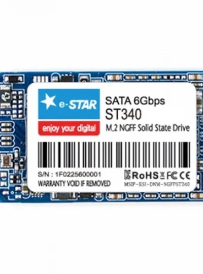 [e-Star] ST340 M.2 SATA 2242 [256GB]