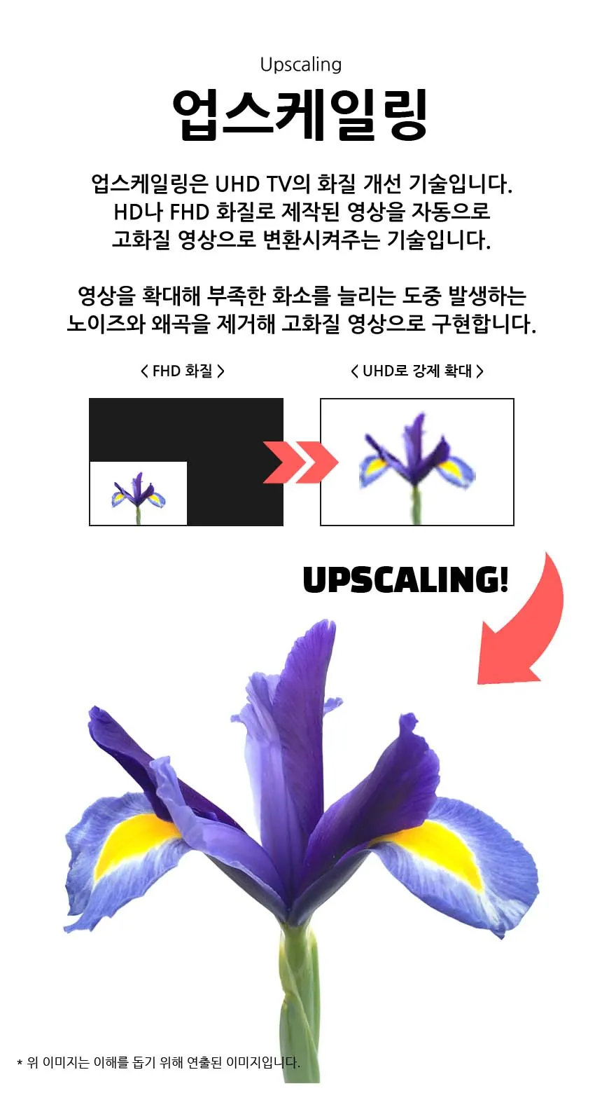 CZ904575_d_12.webp