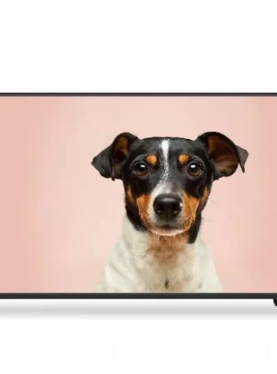 [살루스] 109cm UHD SAL430U [택배발송]