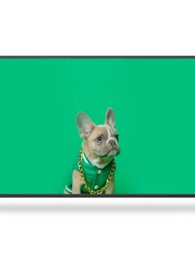 [살루스] 127cm UHD TV SAL500U [택배배송]