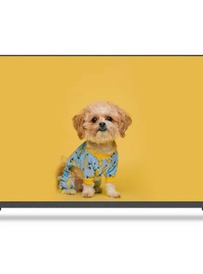 [살루스] 101cm FHD TV SAL400F [택배발송]