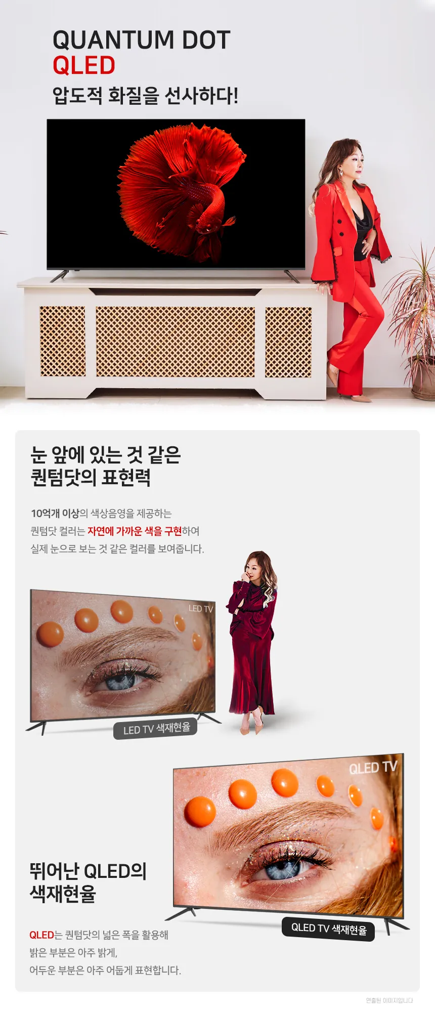 CZ913619_d_8.webp