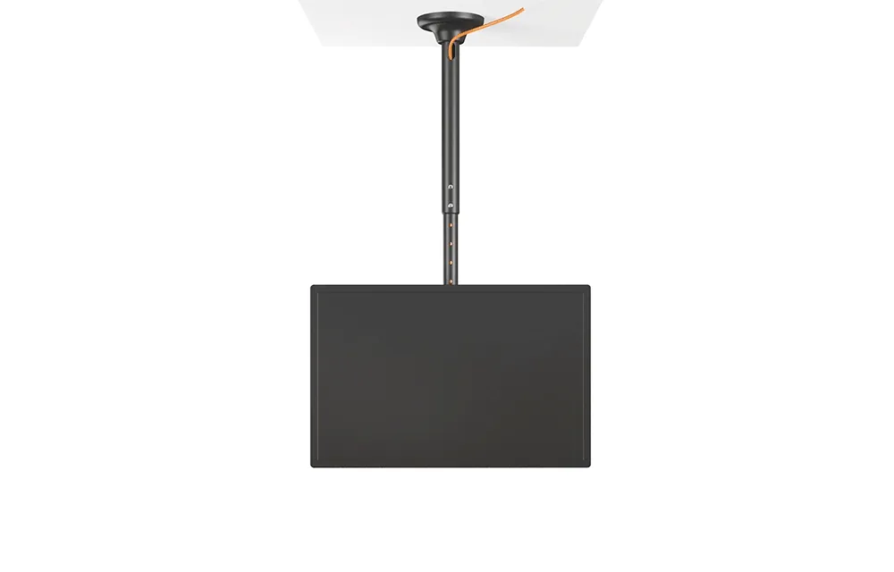 CZ995820_d_14.webp