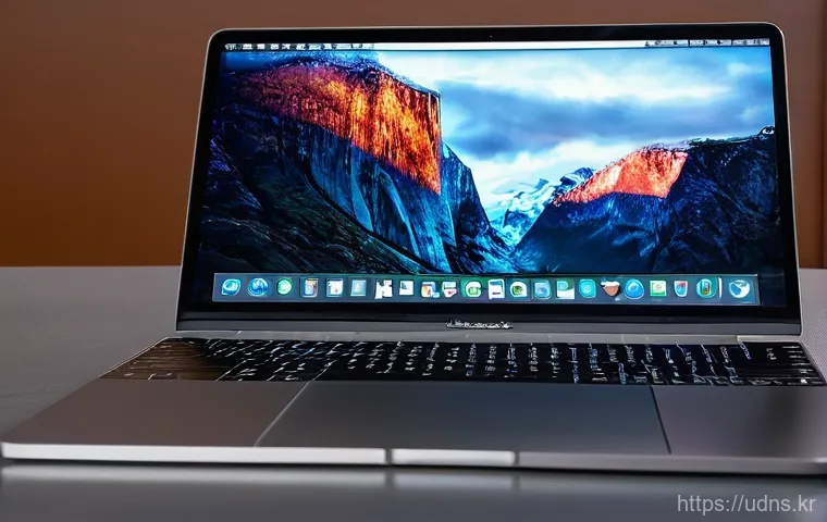 장위동 로직프로 logic pro 원격설치 설명 사진