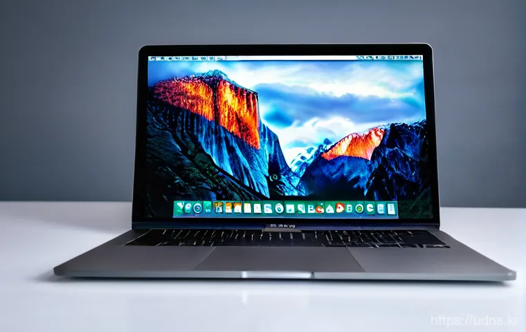 퇴촌면 로직프로 logic pro 원격설치 설명 사진